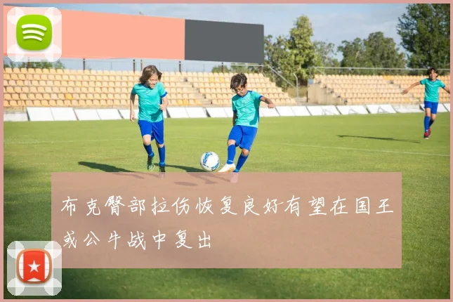 布克臀部拉伤恢复良好有望在国王或公牛战中复出