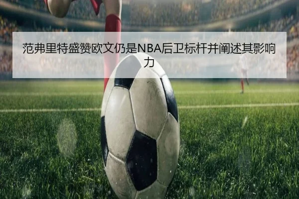 范弗里特盛赞欧文仍是NBA后卫标杆并阐述其影响力